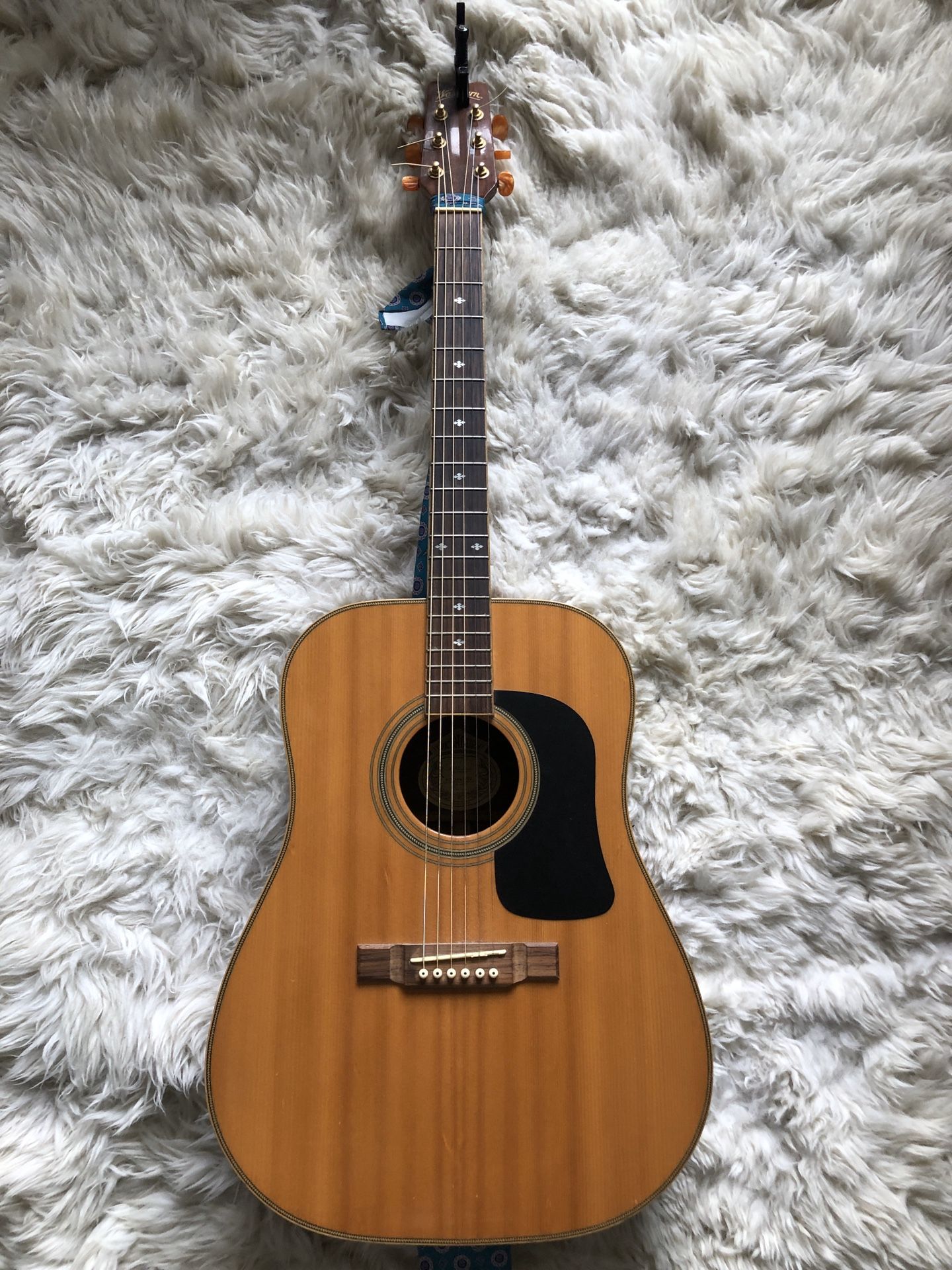 Washburn acoustic guitar