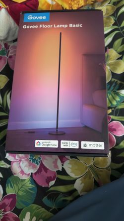 Govee Floor Lamp