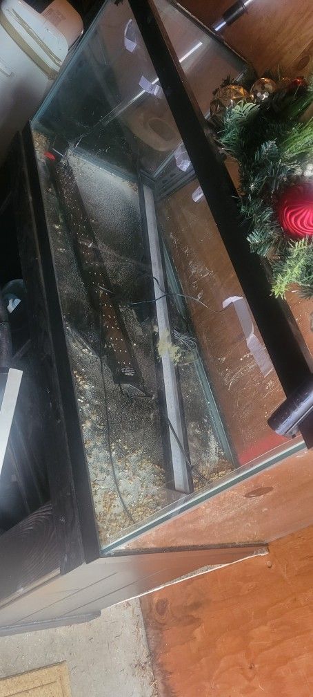 Fish Tank Supplies