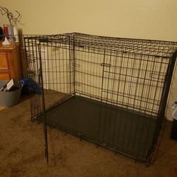 XL 2 Door Collaspable Dog Crate 