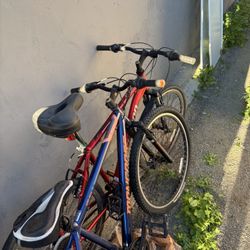 2 Bikes 