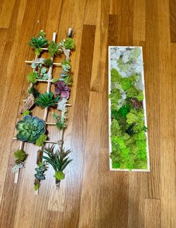 Handmade moss and succulent wall art (boho decor)