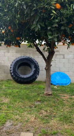 250# CrossFit Tire