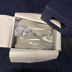 Christian Dior B22 Grey Size 11