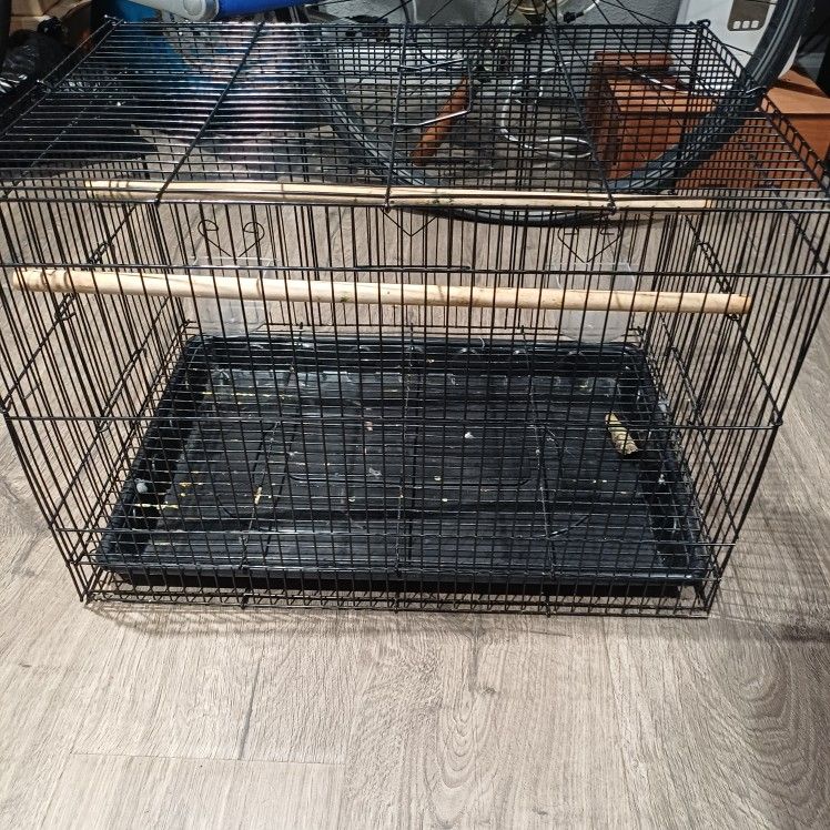 Cage For Birds