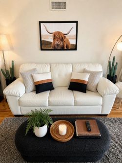 Leather Couch with Sofa Bed