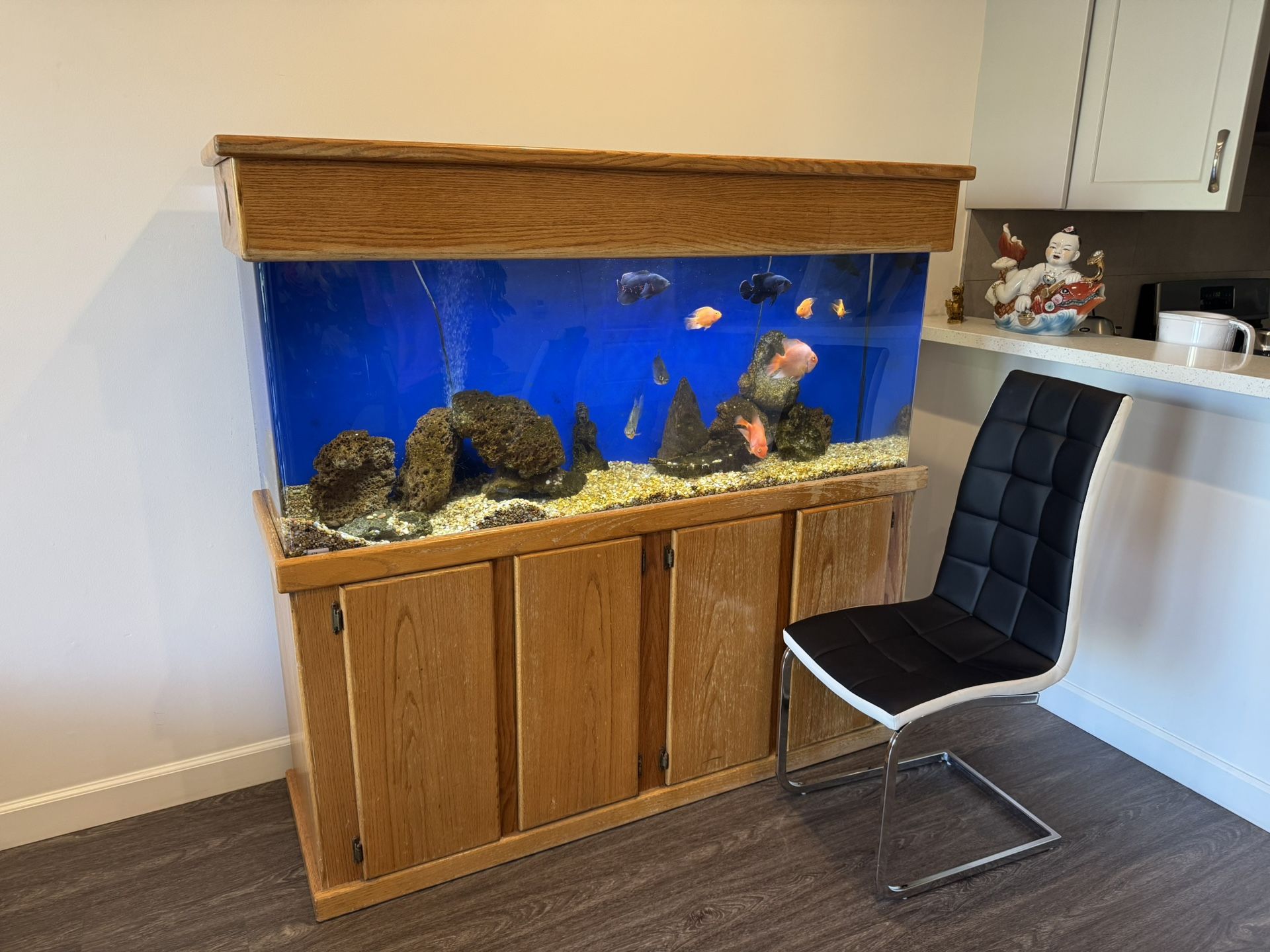 Fish Tank