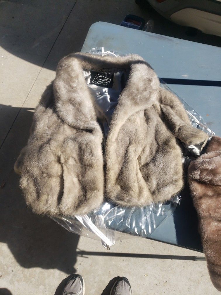 Ladies genuine embassary is emba cerulean natural blue mutation mink