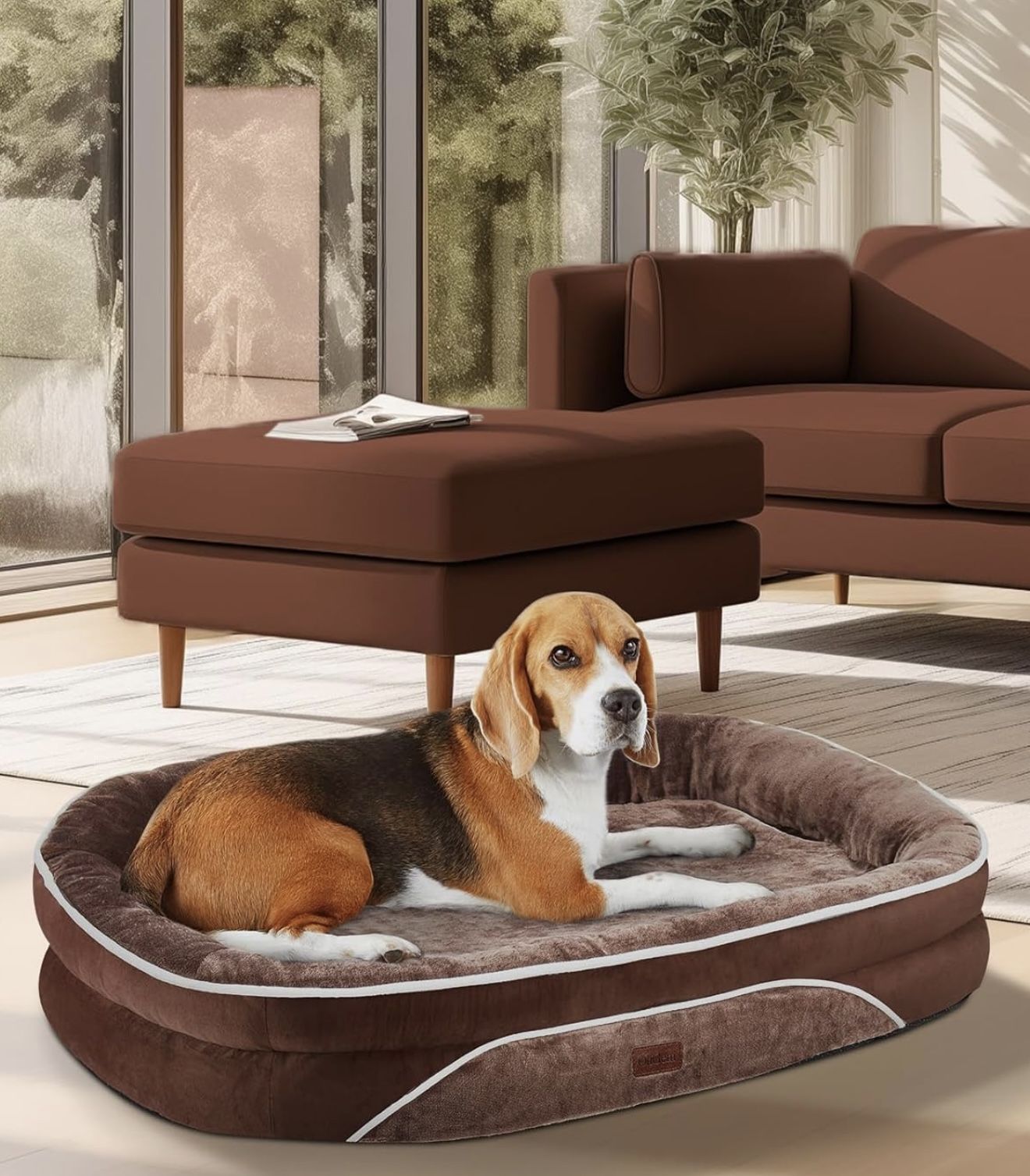 Orthopedic dog bed