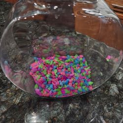 Aqua Culture Glass Fish Bowl with Starter Kit