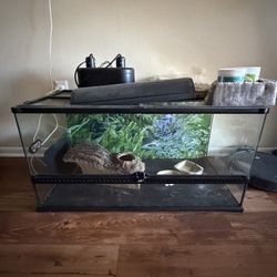 Reptile Tank 