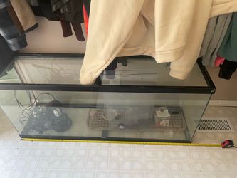 Reptile tank