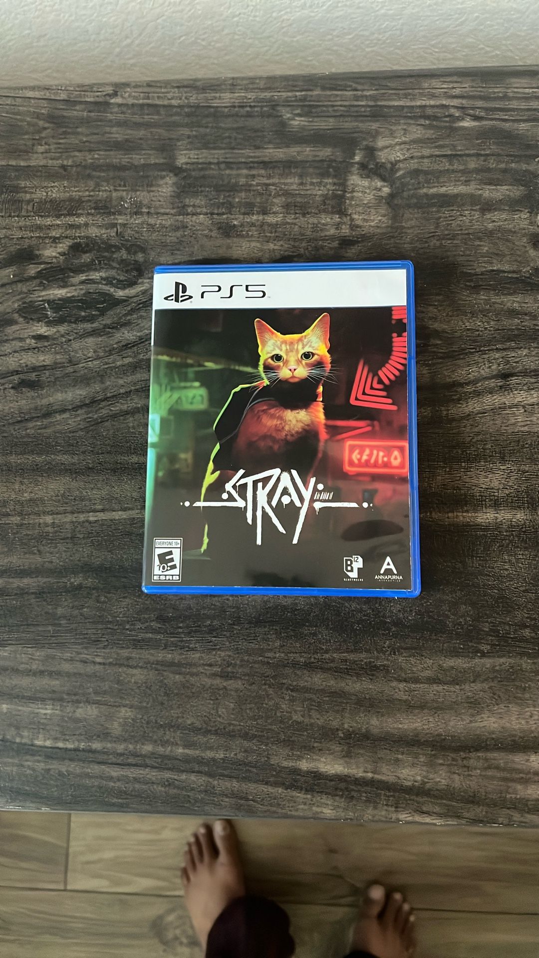 PS5 Stray Video Game