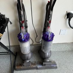 Dyson Animal Ball