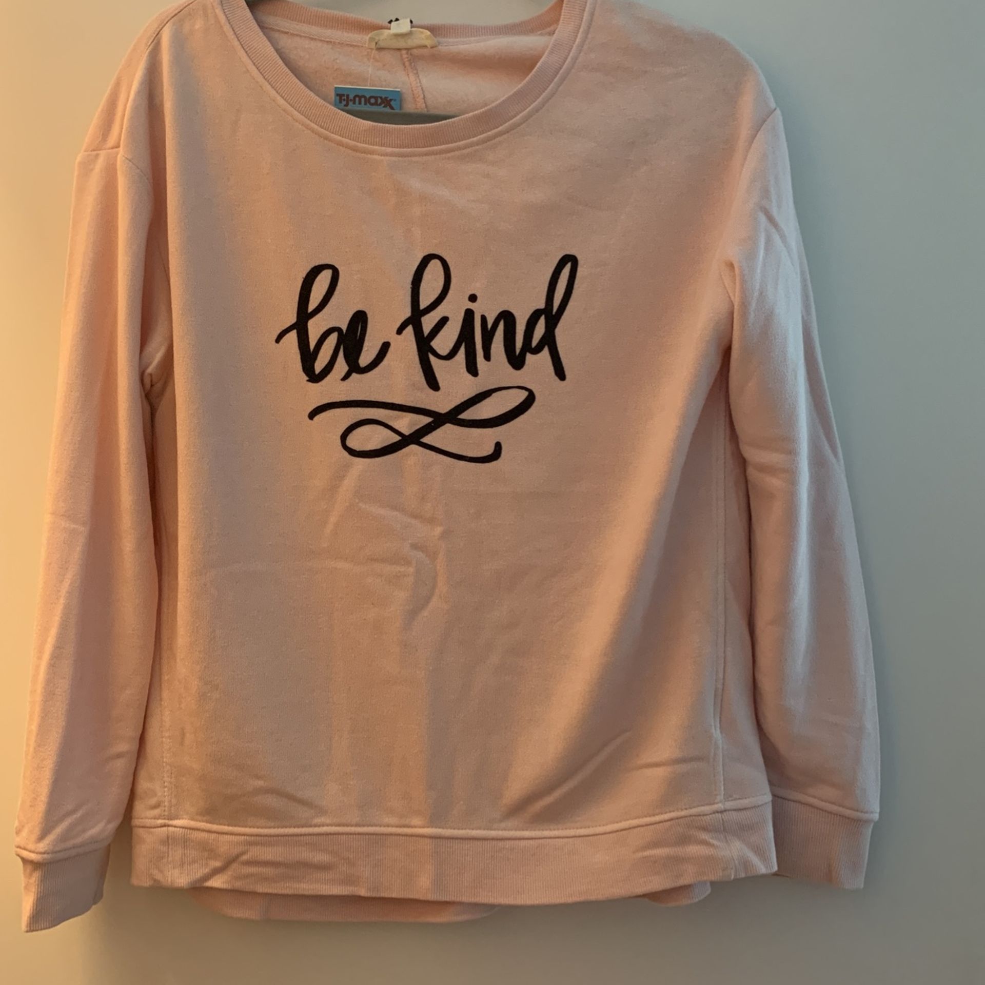 NWT Light Pink Sweatshirt