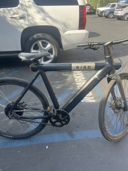 Electric Bird Bike