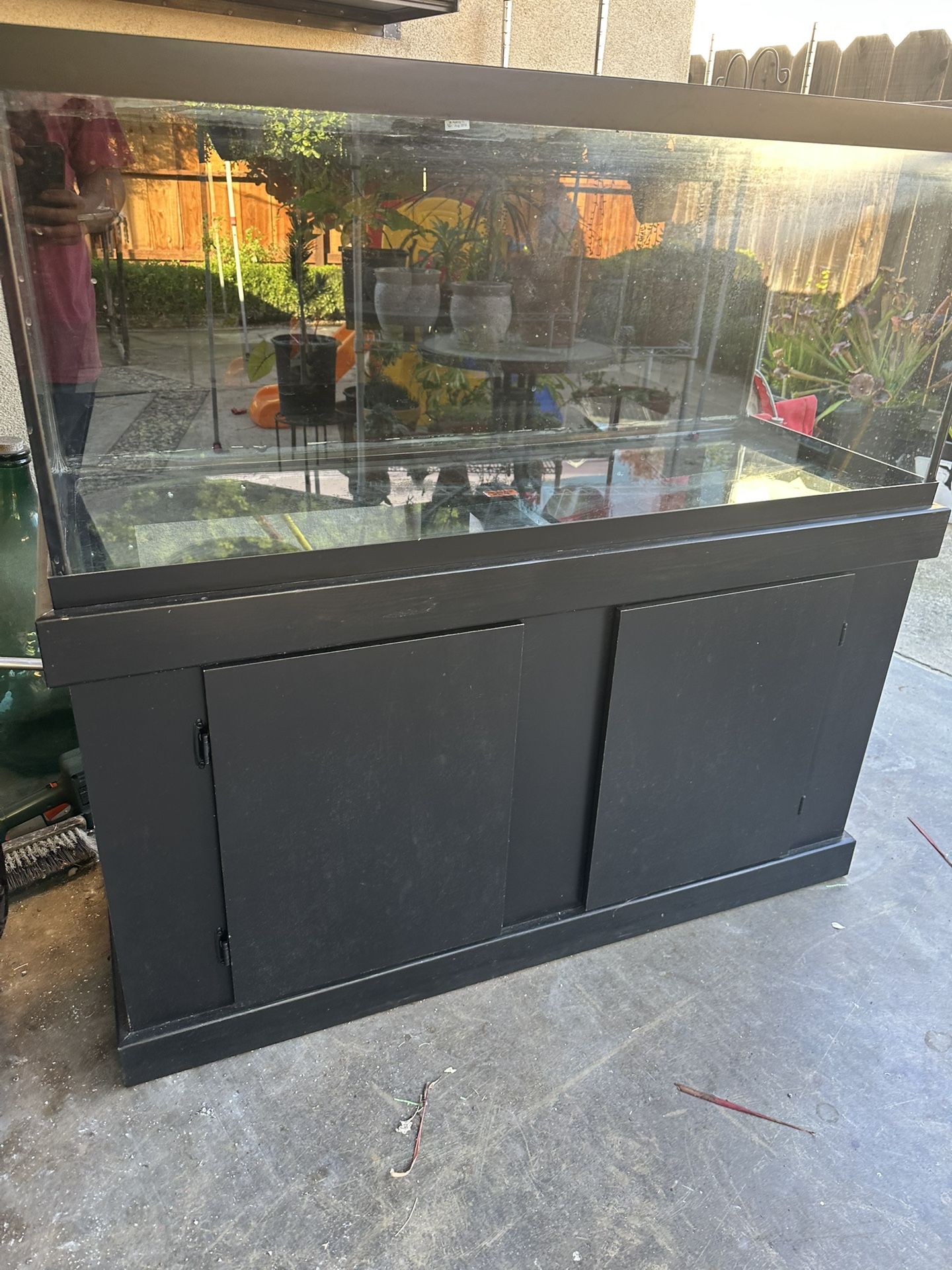 75 Gallon Aquarium 2 Available
