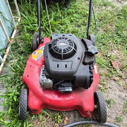 gas-powered push lawn mower.