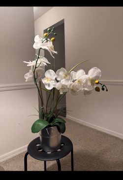 Artificial white orchid Arrangement