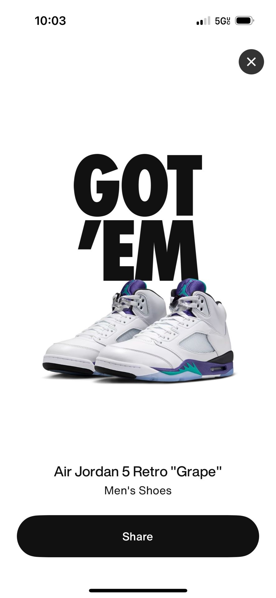 Jordan 5 (10)