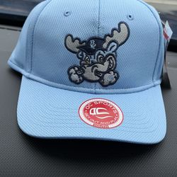MILB Baseball Wilmington Blue Rocks Youth Hat Size Adjustable Brand New With Tag