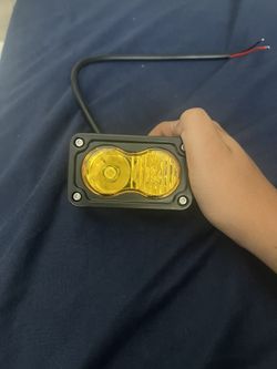 Amazon Baja Light