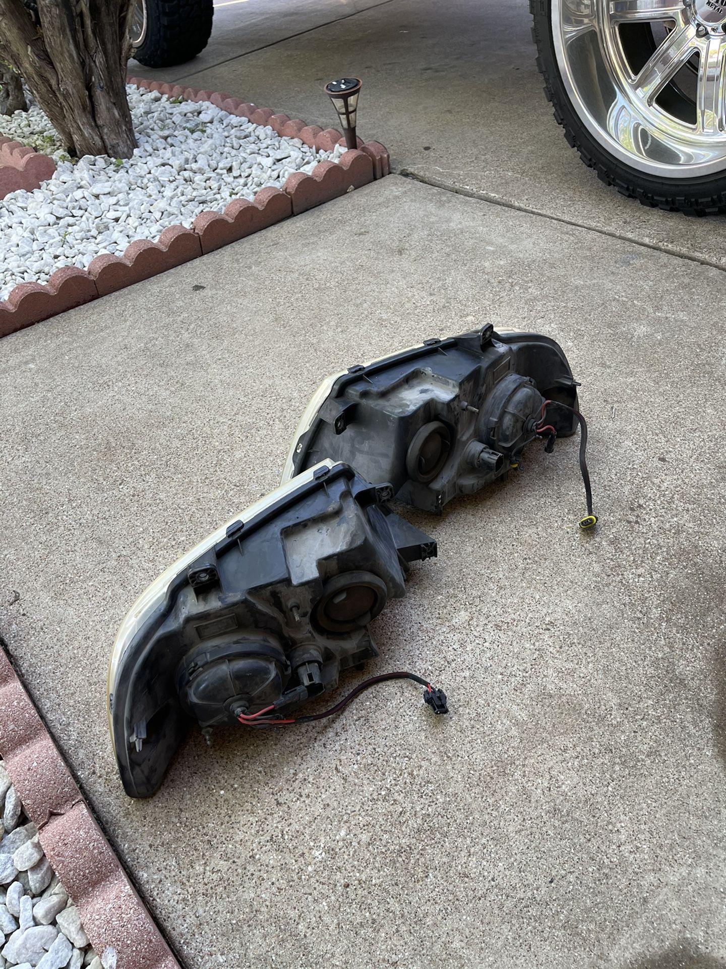 Luses