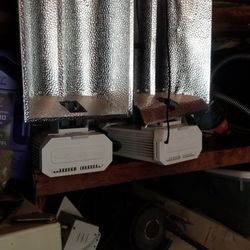 Gavita Pro And  Phantom  grow light