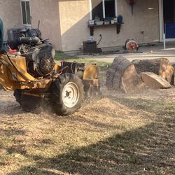 Stump Grinder