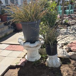 Set Of 2 Plants With Vase