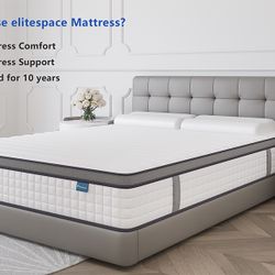 Brand New 12” High For $80