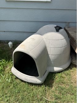 Dog House