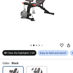 Weight Bench