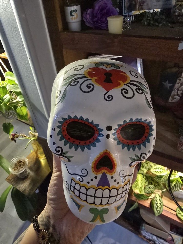 Skulls
