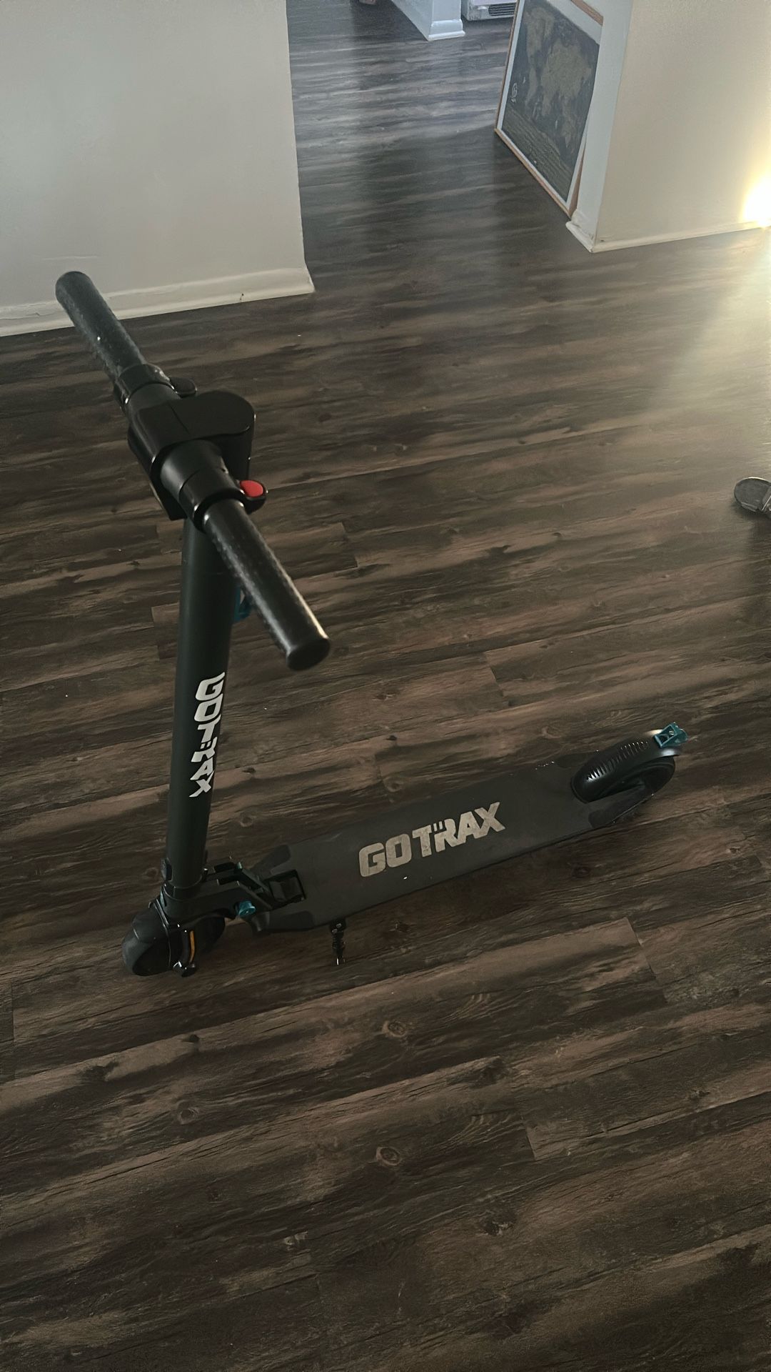 GoTrax Scooter