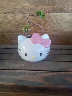 Hello Kitty bonsai planter