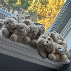 Size 8 Teddy bear clogs