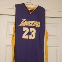 LeBron Jerseys
