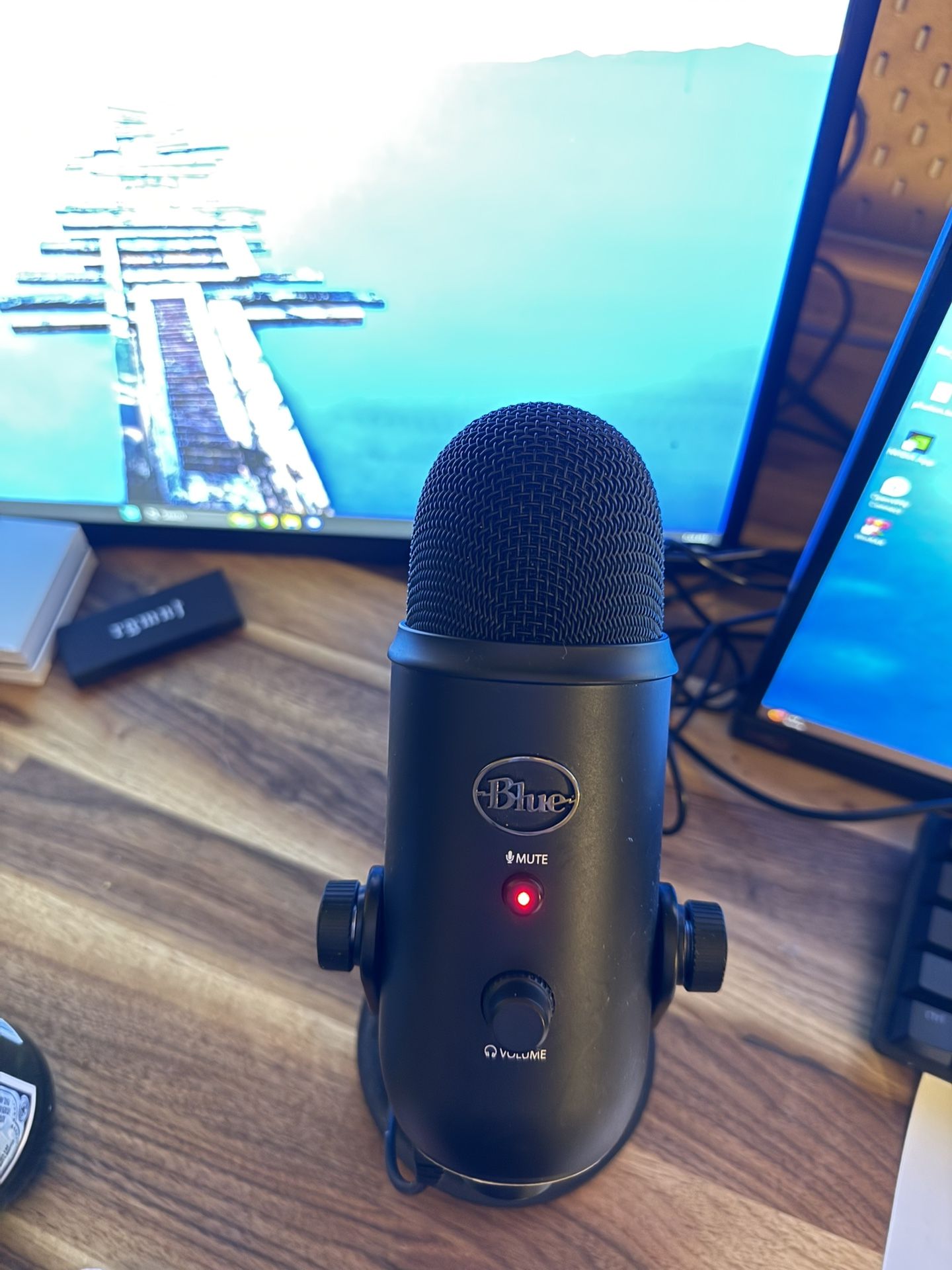 Blue yetti Microphone