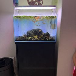 10g Uns Aquarium With Stand