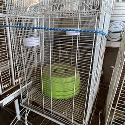 Bird Cage /jaula 