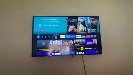Insignia 55inch 4k smart tv