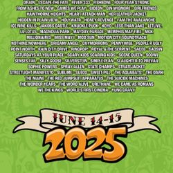 Warped Tour 2 Day Ticket