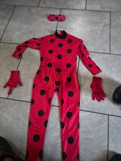 Ladybug costume