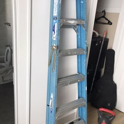 Good Price ! Werner 6 Foot Ladder