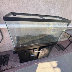 45 Gallon Fish Tank And Stand With Supplies 