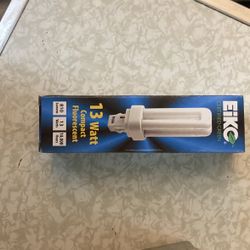 13 Watt Compact Fluorescent Light (810 Lumens)