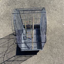 Bird Cage 