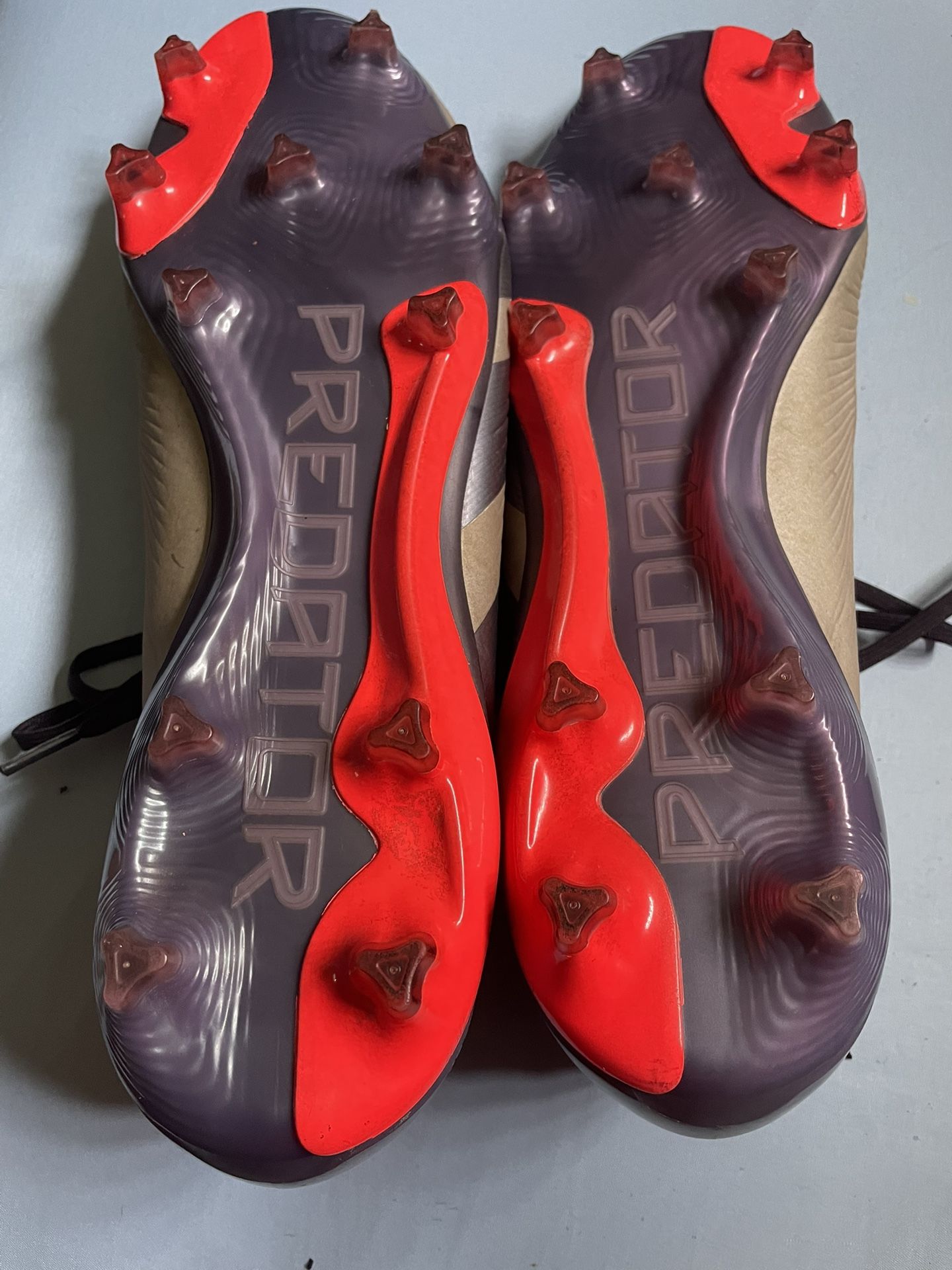 Sz 13 Predator Elites 