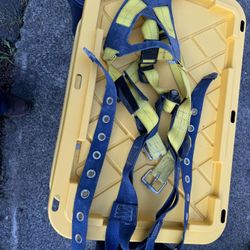 Safety Harness